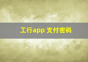 工行app 支付密码